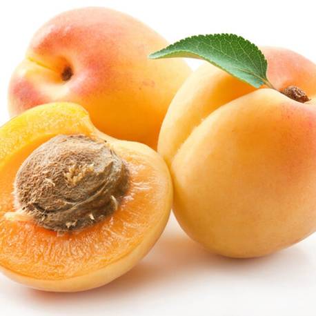 Купить саженцы абрикоса в Крыму