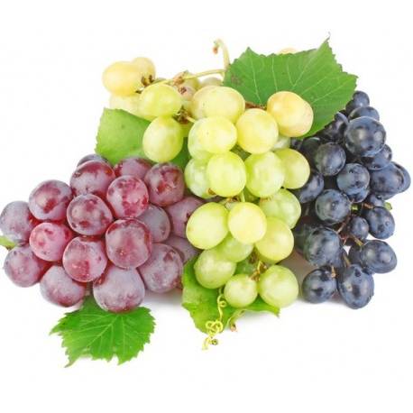 Купить саженцы столового винограда в Крыму