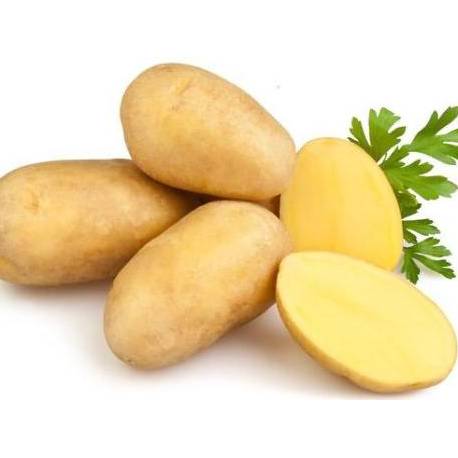 Купить семена картофеля в Крыму