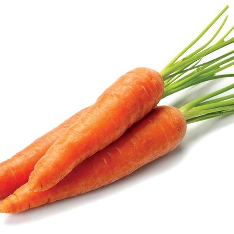 Купить семена моркови в Крыму