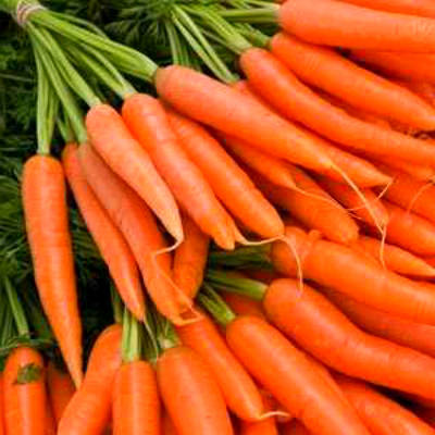 Морковь Алёнка в Крыму