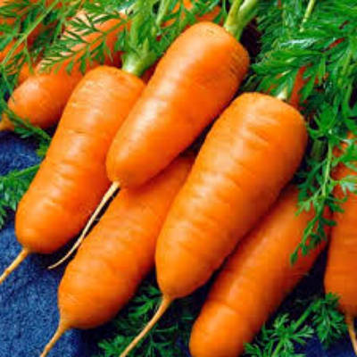 Морковь Каротель в Крыму